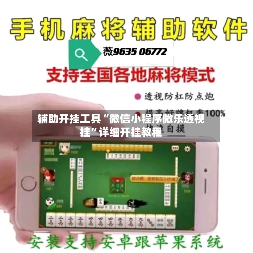 辅助开挂工具“微信小程序微乐透视挂”详细开挂教程-第2张图片