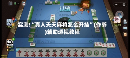 实测!“真人天天麻将怎么开挂”(作弊)辅助透视教程-第3张图片