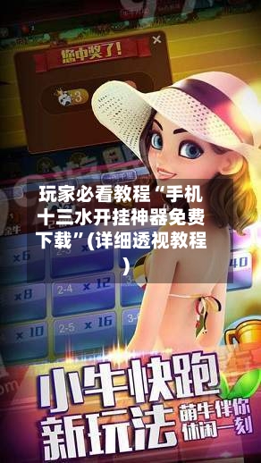 玩家必看教程“手机十三水开挂神器免费下载”(详细透视教程)-第3张图片