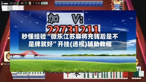秒懂经验“微乐江苏麻将充钱后是不是牌就好	”开挂(透视)辅助教程-第3张图片