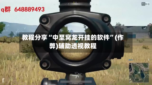 教程分享“中至窝龙开挂的软件	”(作弊)辅助透视教程-第2张图片