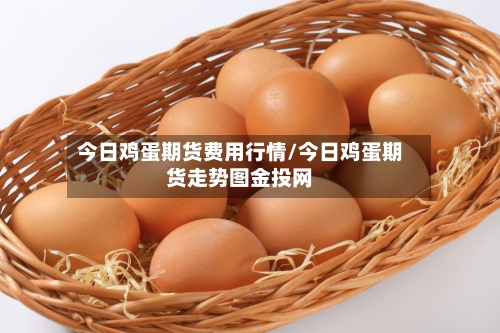 今日鸡蛋期货费用行情/今日鸡蛋期货走势图金投网