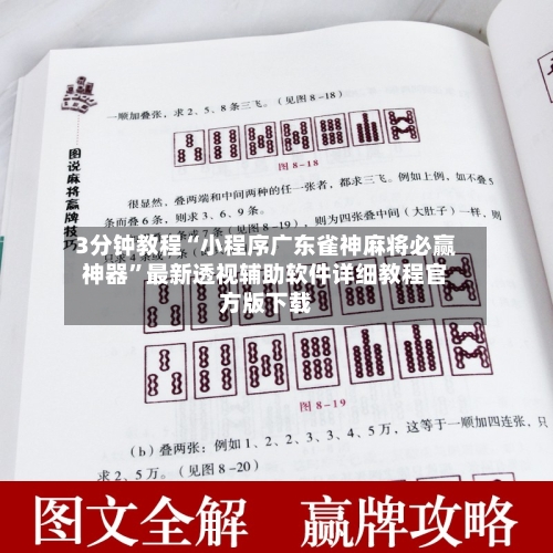 3分钟教程“小程序广东雀神麻将必赢神器”最新透视辅助软件详细教程官方版下载-第3张图片