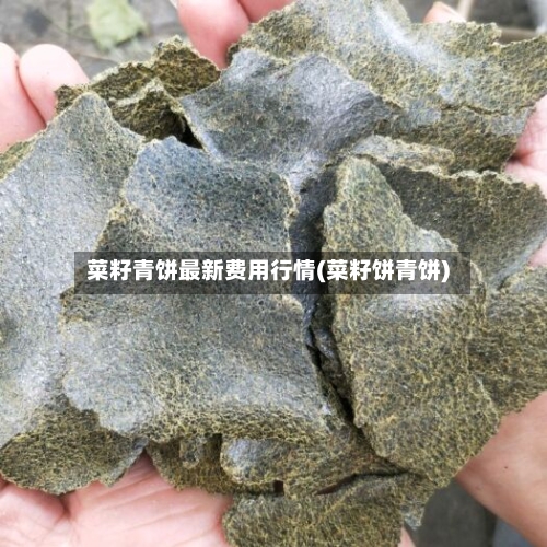 菜籽青饼最新费用行情(菜籽饼青饼)