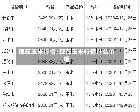 现在玉米行情/现在玉米行情什么价呢