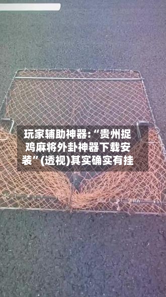 玩家辅助神器:“贵州捉鸡麻将外卦神器下载安装	”(透视)其实确实有挂-第2张图片