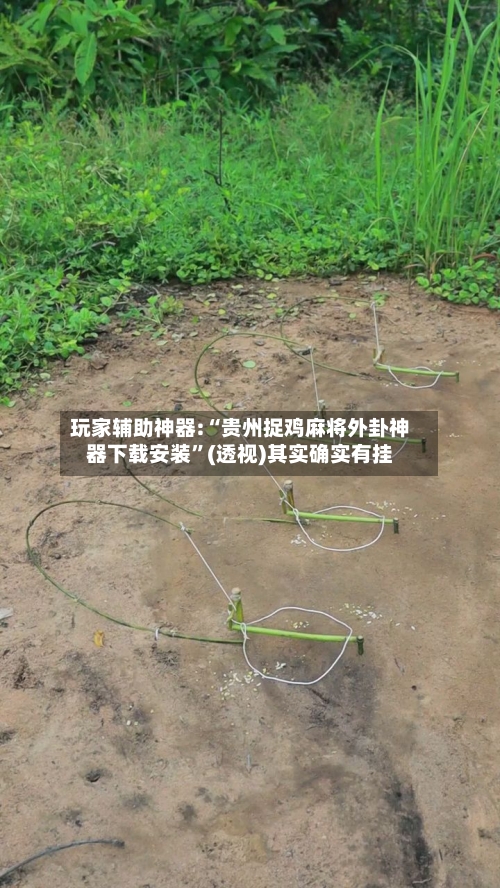 玩家辅助神器:“贵州捉鸡麻将外卦神器下载安装”(透视)其实确实有挂-第3张图片