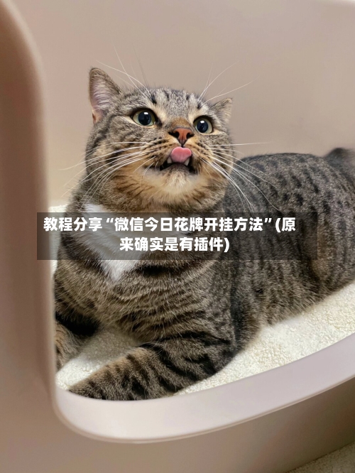教程分享“微信今日花牌开挂方法	”(原来确实是有插件)-第2张图片