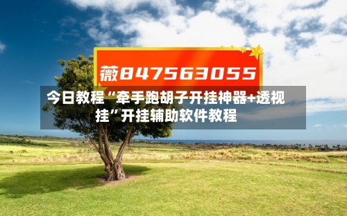 今日教程“牵手跑胡子开挂神器+透视挂”开挂辅助软件教程-第2张图片