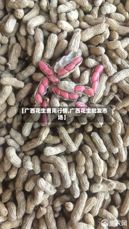 【广西花生费用行情,广西花生批发市场】