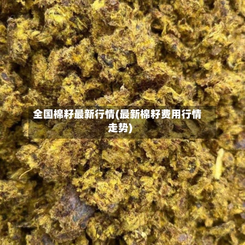 全国棉籽最新行情(最新棉籽费用行情走势)
