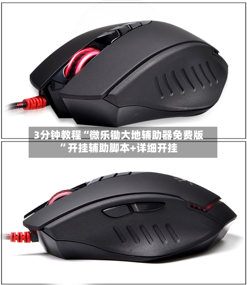 3分钟教程“微乐锄大地辅助器免费版”开挂辅助脚本+详细开挂-第2张图片