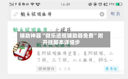 辅助神器“微乐透视辅助器免费”附开挂脚本详细步