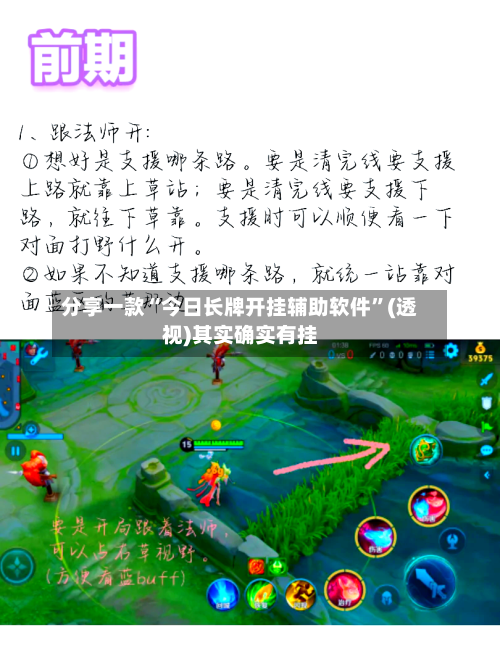 分享一款“今日长牌开挂辅助软件”(透视)其实确实有挂-第3张图片