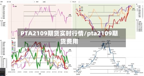PTA2109期货实时行情/pta2109期货费用-第2张图片