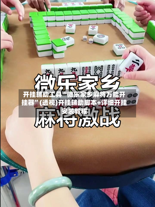 开挂辅助工具“微乐家乡麻将万能开挂器	”(透视)开挂辅助脚本+详细开挂安装教程-第3张图片
