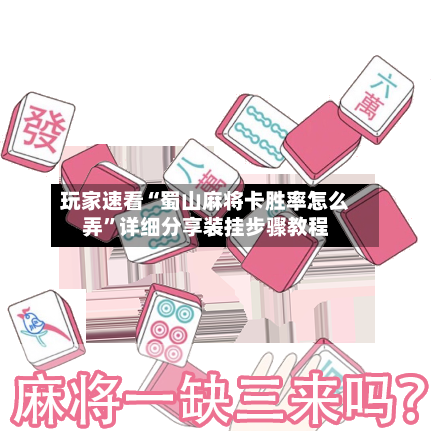 玩家速看“蜀山麻将卡胜率怎么弄	”详细分享装挂步骤教程-第2张图片