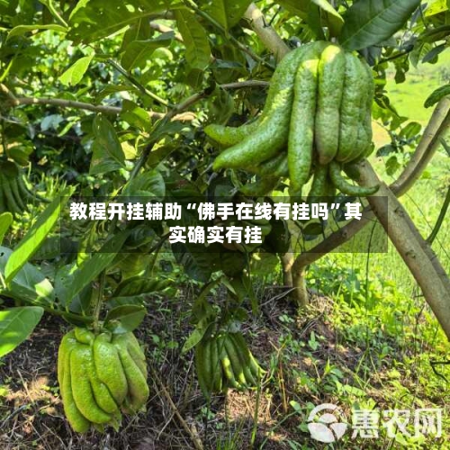 教程开挂辅助“佛手在线有挂吗	”其实确实有挂-第2张图片