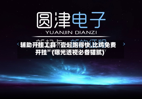 辅助开挂工具“壹起跑得快,比鸡免费开挂”(曝光透视必备猫腻)-第3张图片