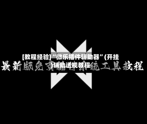 [教程经验]“微乐插件辅助器”(开挂)辅助透视教程