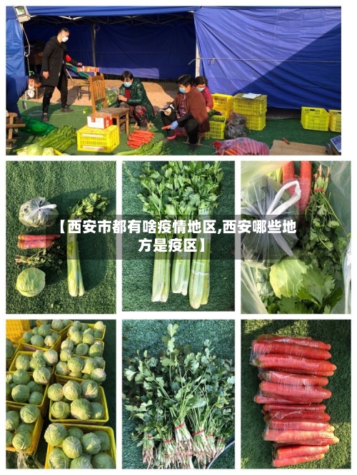 【西安市都有啥疫情地区,西安哪些地方是疫区】
