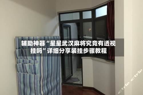 辅助神器“星星武汉麻将究竟有透视挂吗”详细分享装挂步骤教程-第2张图片