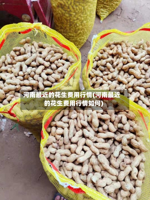 河南最近的花生费用行情(河南最近的花生费用行情如何)