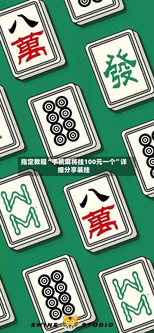 指定教程“手机麻将挂100元一个”详细分享装挂-第3张图片