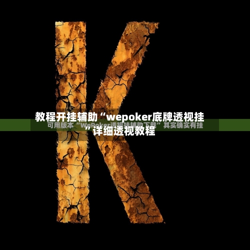 教程开挂辅助“wepoker底牌透视挂	”详细透视教程-第2张图片