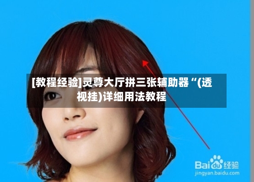 [教程经验]灵尊大厅拼三张辅助器“(透视挂)详细用法教程-第3张图片