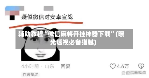 辅助教程“微信麻将开挂神器下载”(曝光透视必备猫腻)-第2张图片