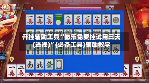开挂辅助工具“微乐免费挂试用三天(透视)”(必备工具)辅助教学-第3张图片