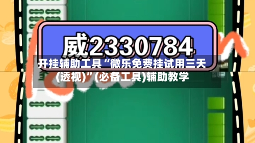 开挂辅助工具“微乐免费挂试用三天(透视)”(必备工具)辅助教学-第2张图片