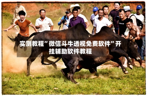 实测教程”微信斗牛透视免费软件	”开挂辅助软件教程-第2张图片