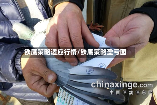 铁鹰策略适应行情/铁鹰策略盈亏图-第2张图片