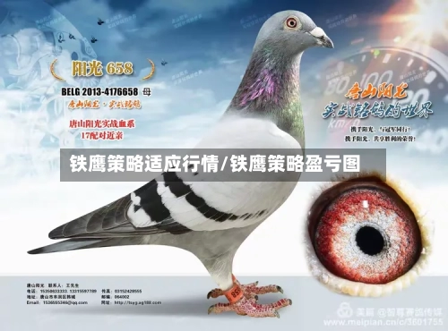 铁鹰策略适应行情/铁鹰策略盈亏图-第3张图片