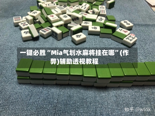 一键必胜“Mia气划水麻将挂在哪”(作弊)辅助透视教程-第3张图片