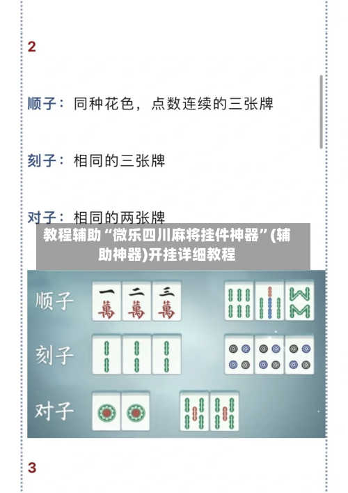 教程辅助“微乐四川麻将挂件神器”(辅助神器)开挂详细教程-第2张图片