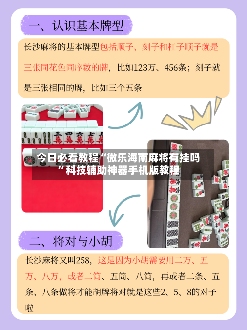 今日必看教程“微乐海南麻将有挂吗	”科技辅助神器手机版教程-第2张图片