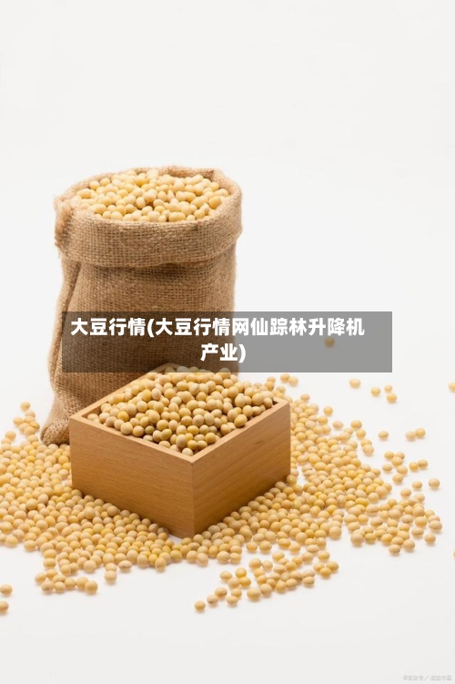 大豆行情(大豆行情网仙踪林升降机产业)