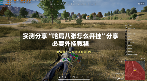 实测分享“哈局八张怎么开挂	”分享必要外挂教程-第2张图片