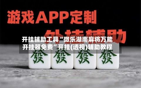 开挂辅助工具“微乐湖南麻将万能开挂器免费”开挂(透视)辅助教程-第2张图片