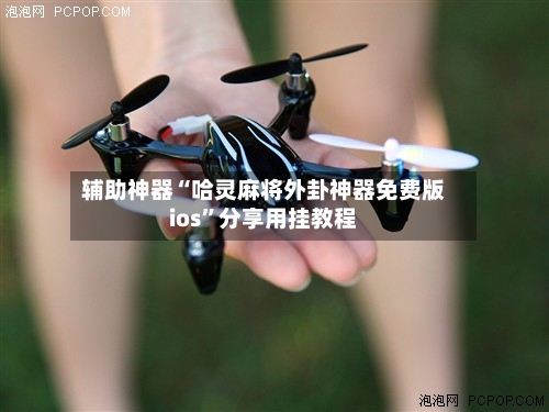 辅助神器“哈灵麻将外卦神器免费版ios	”分享用挂教程-第2张图片