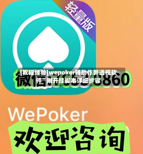 [教程经验]wepoker辅助作弊透视软件”附开挂脚本详细步骤-第3张图片