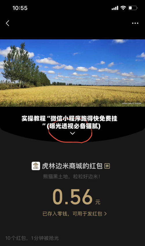 实操教程“微信小程序跑得快免费挂	”(曝光透视必备猫腻)-第2张图片