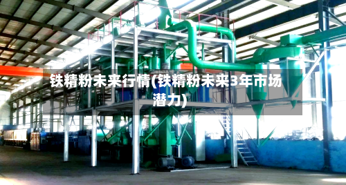 铁精粉未来行情(铁精粉未来3年市场潜力)-第2张图片