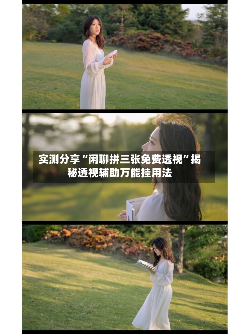 实测分享“闲聊拼三张免费透视”揭秘透视辅助万能挂用法-第2张图片