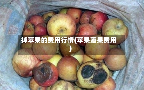 掉苹果的费用行情(苹果落果费用)-第2张图片