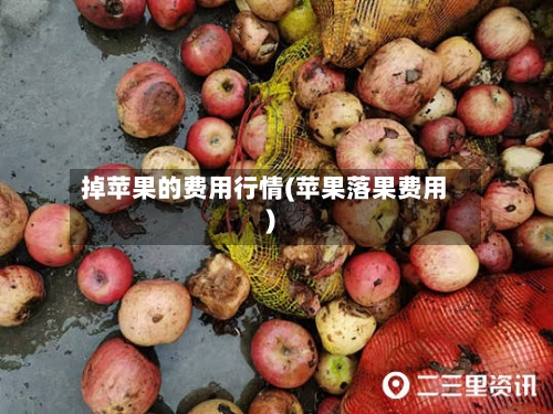 掉苹果的费用行情(苹果落果费用)
