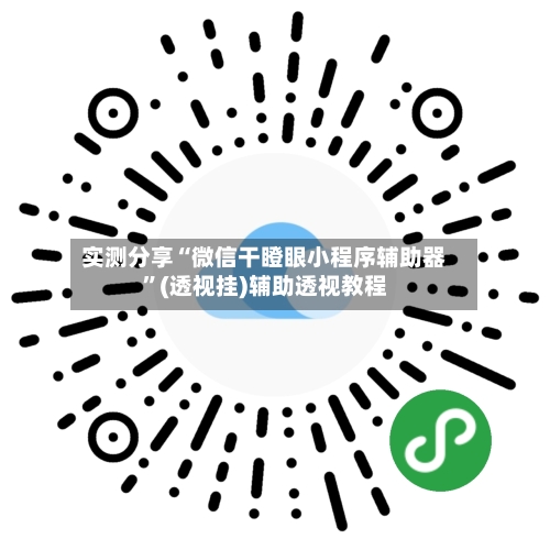 实测分享“微信干瞪眼小程序辅助器”(透视挂)辅助透视教程
